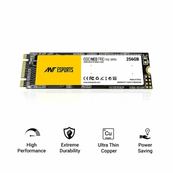 ANT ESPORTS PRO 256GB M 2 SATA 690 NEO 1