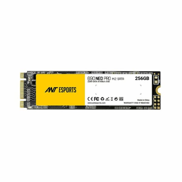 ANT ESPORTS PRO 256GB M 2 SATA 690 NEO